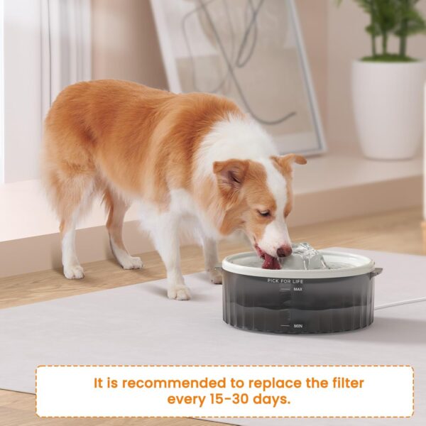 6 Pack Dog Water Fountain Filters - Image 6