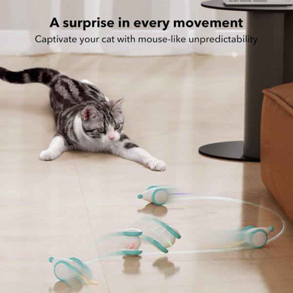 PETLIBRO Interactive Cat Toy for Indoor Cats, [2024 Upgraded] Kitten Toys, Automatic Cat Toy with LED Lights, Cat Mouse Toys, USB Rechargeable Moving Cat Toy, Smart Sensing Electric Cat Toy - Image 5