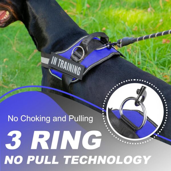 Essential Dog Harness with 3 Leash Clips - No-Pull, Adjustable, Comfortable Pet Vest Harness for Small to Large Dogs - Easy On, No Choke, Reflective, Padded Harness for Walking and Training - Image 4