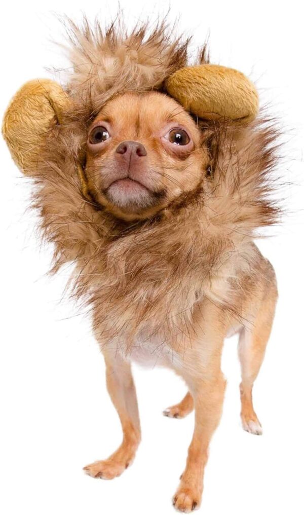 Pet Krewe Cat Lion Mane Halloween Costume – Fits Neck Size 8”-14 - Lion Costume for Small Cats and Kittens – Ideal for Halloween, Cat Birthday, Cat Cosplay, Cat Outfits, Pet Clothes - Image 8