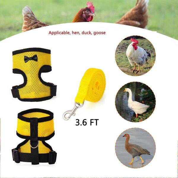 4Pcs Chicken Harness and Leash Set with Adjustable Upgrade and Improvement Breathable Comfortable Suitable for 2-9.5 Ib Chicken, Duck, Goose As Gifts for Festival.（Yellow Blue Green Pink） M - Image 4