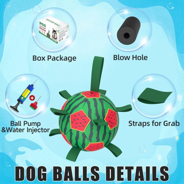 QDAN Watermelon Ball Dog Water Toys- Waterproof Dog Soccer Ball with Straps, Dog Beach Balls for Summer Outdoor Games Swimming Pool with Family Kids, Outdoor Dog Toys (8 inch) - Image 7