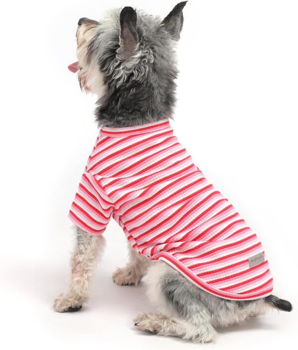 MengMengDa Dog Clothes for Small Dogs Dog Shirt for Small Dogs,Dog summer Clothes,Dogs Striped T-Shirts,Schnauzer,Chihuahua,Dachshund,Cat clothes Puppy Cotton Clothes（Pink Stripe-S）