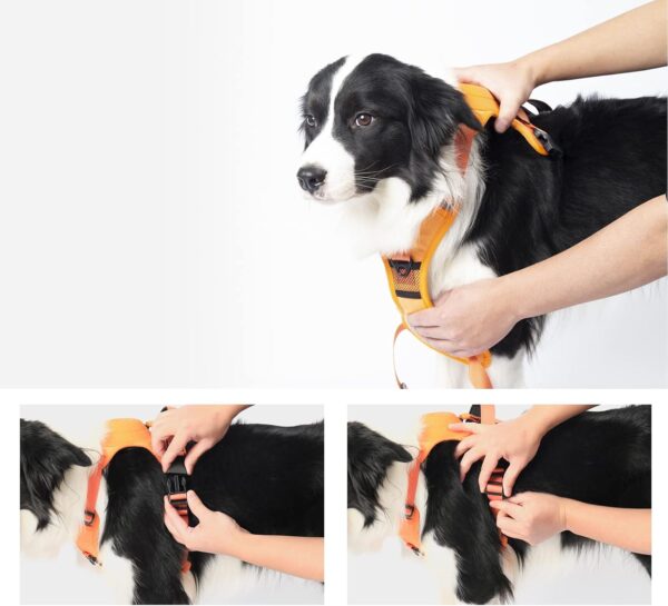 All in One Dog Harness with Retractable Leash No-Pull No-Choke with Adjustable Dog Vest and Anti-Dash Feature (Orange, Medium) - Image 2