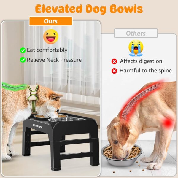 URPOWER Elevated Dog Bowls 4 Height Adjustable Raised Dog Bowl with No Spill Edge 2 Thick 50oz Stainless Steel Dog Food & Water Bowl Non-Slip Dog Bowl Stand for Small Medium Large Dogs and Pets - Image 3