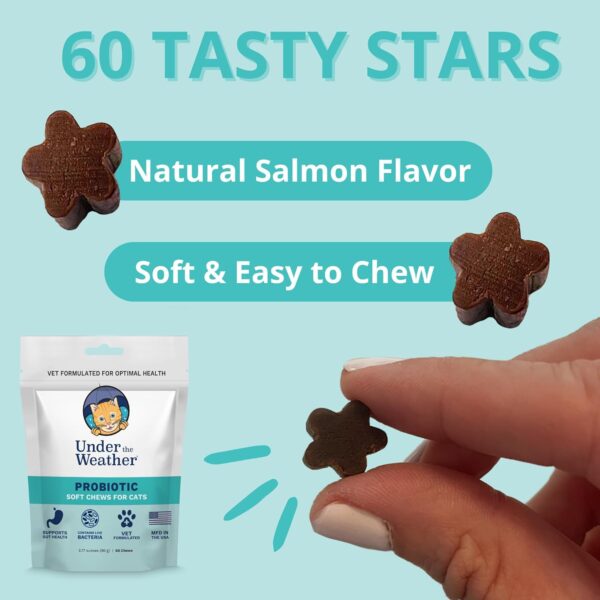 Under The Weather Pet Probiotic Chews for Cats | Promotes Normal Digestion, Balances Healthy Gut Health | 60 Star Shaped Soft Chews - Image 3