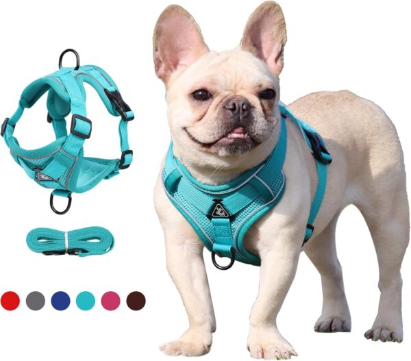 No Pull Dog Harnes with 5FT Dog Basic Leash, Breathable Soft Sandwich Air Mesh, Triangle Stable Ring, Reflective Stripes, Lightweight Pet Vest Harness for Small Dogs Cats Kitten Green S