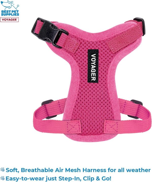 Voyager Step-in Lock Adjustable Cat Harness w. Cat Leash Combo Set with Neoprene Handle 5ft - Supports Small, Medium and Large Breed Cats by Best Pet Supplies - Fuchsia, XXS - Image 2