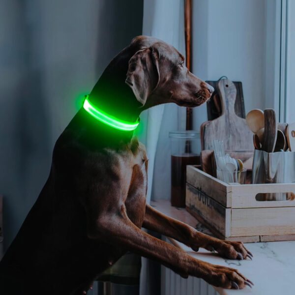 LED Dog Collar, USB Rechargeable Light Up Dog Collars, Adjustable Safety Dog Collar Light for Dogs Walking at Night (Green, Medium) - Image 7