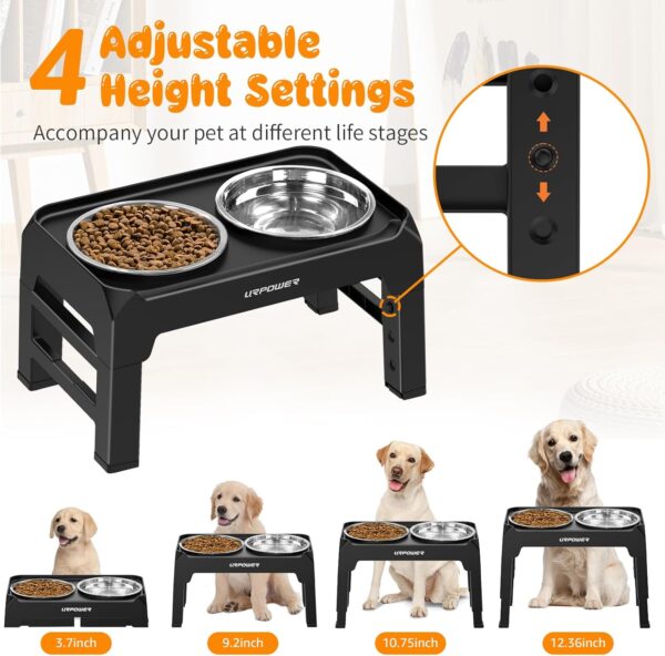 URPOWER Elevated Dog Bowls 4 Height Adjustable Raised Dog Bowl with No Spill Edge 2 Thick 50oz Stainless Steel Dog Food & Water Bowl Non-Slip Dog Bowl Stand for Small Medium Large Dogs and Pets - Image 2