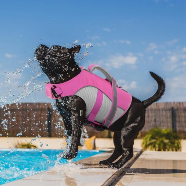 Queenmore Dog Life Vest for Swimming, Adjustable High Visibility Dog Life Jacket, Dog Lifesaver with Superior Buoyancy and Rescue Handle, Dog Swimming Safety Vest for Small Dogs（Pink,S） - Image 7