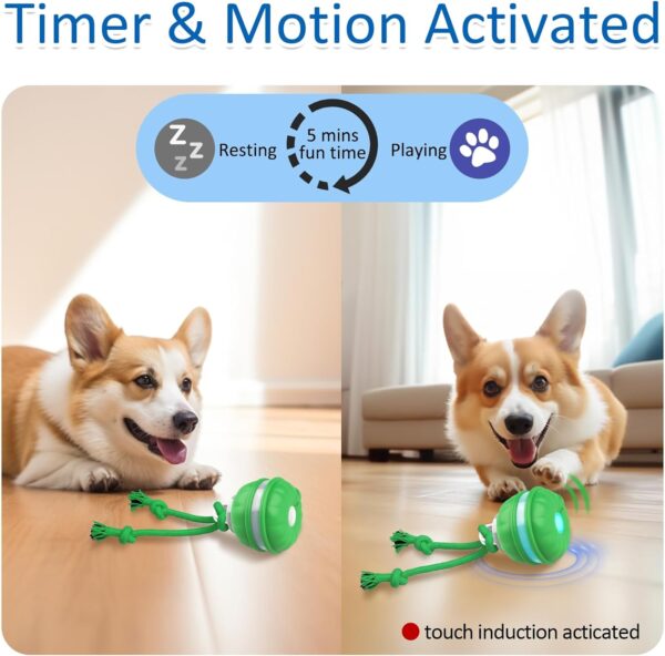 Interactive Dog Toys, Motion Activated Automatic Rolling Ball Toys, Wicked Ball, Squeaky Dog Toy for Small Dogs/Puppy… - Image 2