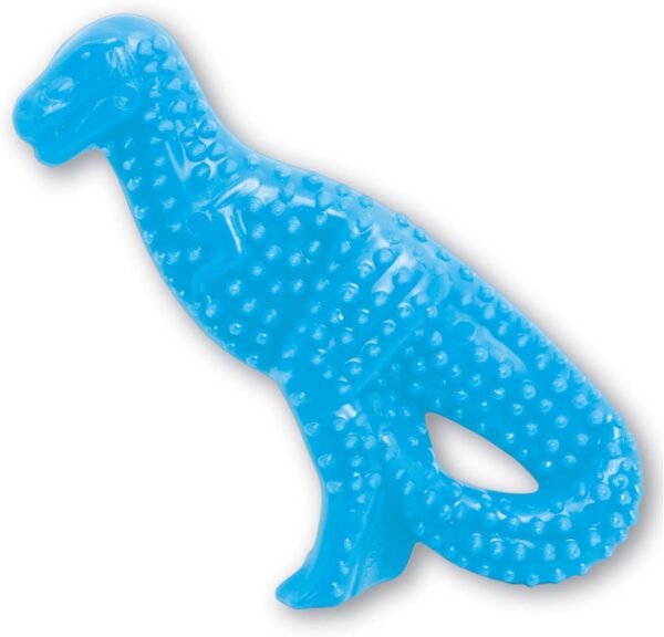 Nylabone Dental Dinosaur Puppy Chew Toy - Puppy Chew Toy for Teething - Puppy Supplies - Chicken Flavor, Small/Regular (1 Count)