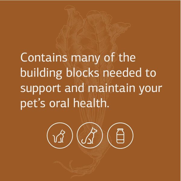 Standard Process VF Bio-Dent for Pets - Bone Growth & Healthy Tissue Support Pet Supplement - Overall Mouth Health Support Supplement - Nutritional Supplement for Cats & Dogs - 90 tablets - Image 3