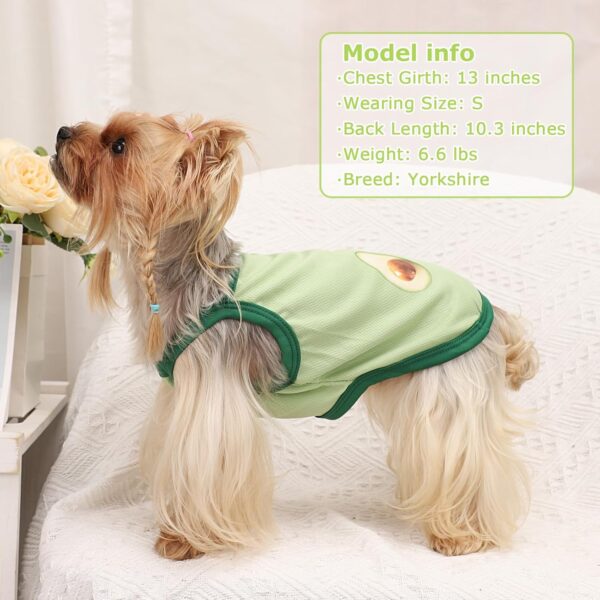 Dog Shirt Avocado Print Summer Dog Clothes Boy Girl Breathable Cool Costume Strap Sweatshirt for Small Puppy T-Shirt Pet Outfit, Avocado, XS - Image 3