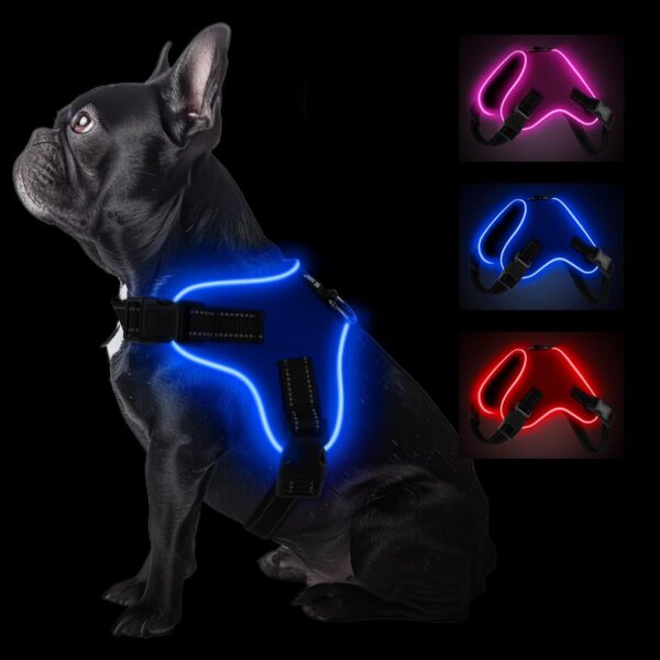 Light Up Dog Harness, Led No-Pull Reflective Dog Vest, Breathable Adjustable Pet Harness with Handle for Outdoor Walking - No More Pulling, Tugging or Choking (Blue, M)