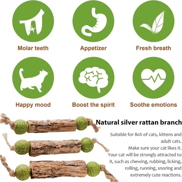 Silvervine Sticks Catnip Toys for Cats, 3 Pack, Interactive Indoor Cat Toy for Teeth Cleaning, Natural Matatabi Chew Treat for Aggressive Chewers. - Image 4