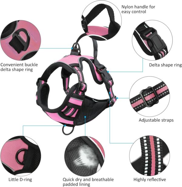 Dog Harness and Leash Set, No Pull Dog Harness with 2 Leash Clips and 3 Buckles, Adjustable Reflective Soft Padded Dog Vest with Easy Control Handle (Pink, Medium) - Image 3