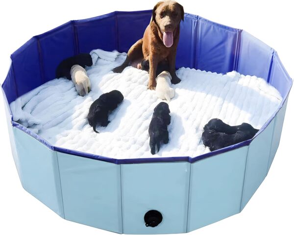 Artilife Whelping Box for Dogs Welp Box Whelping Pool,Puppy Whelping Box,Whelping Pen for Dogs,Whelping Box for Dogs and Puppies,Great for Puppies,Easy to Clean (47inch Dia.x12inch H(120x30cm), Blue)