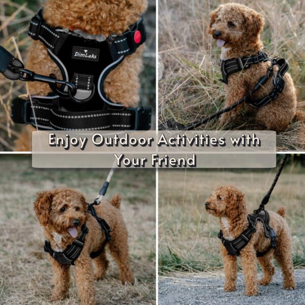 Dog Harness and Leash Set, No Pull Dog Harness for Large Dogs, Reflective Easy Control Harness for Small, Medium, Large Dogs, Adjustable Dog Harness with Leash 5 ft. (Black, Extra Large) - Image 6