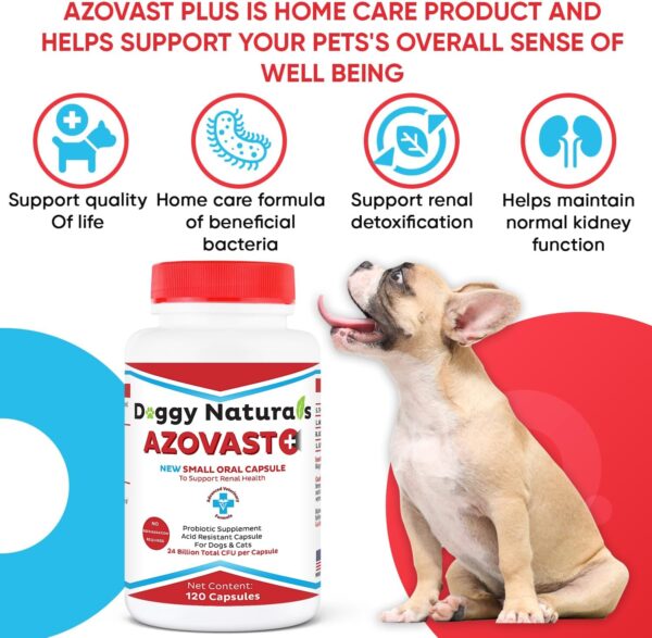 Azovast Plus Kidney Health Supplement for Dogs & Cats, 240ct - NO Refrigeration Required - Help Support Kidney Function & Manage Renal Toxins - Renal Care Supplement Capsule(U.S.A) (240 Caps) - Image 8