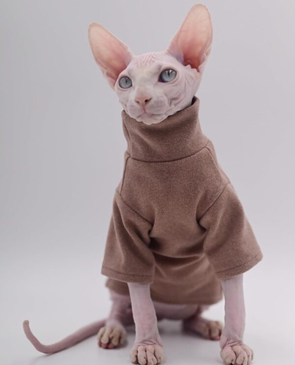 DUOMASUMI Sphynx Cat Clothes Self-Heating Warm Thermal Underwear Hairless Cat Clothes for Sphynx, Devon, Cornish Cat Clothes and Small Kitten and Dogs(Grey-L