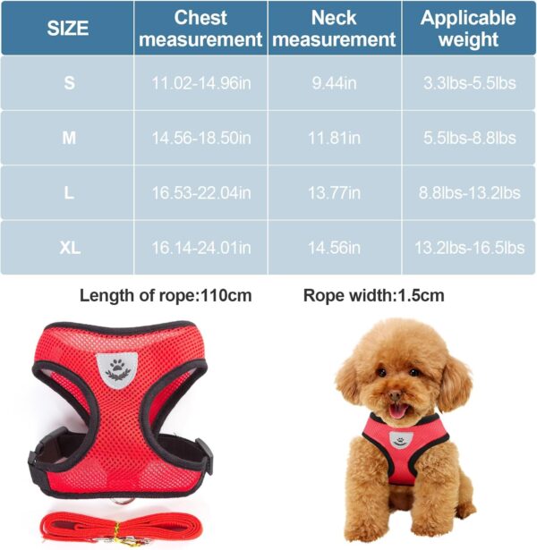 Dog Walking Chest Harness and Leash, Anti-Escape Adjustable Soft Mesh Dog Leash and Harness Set for Small Dog and Puppies, Vest for Medium Sized Dogs (red, S) - Image 2