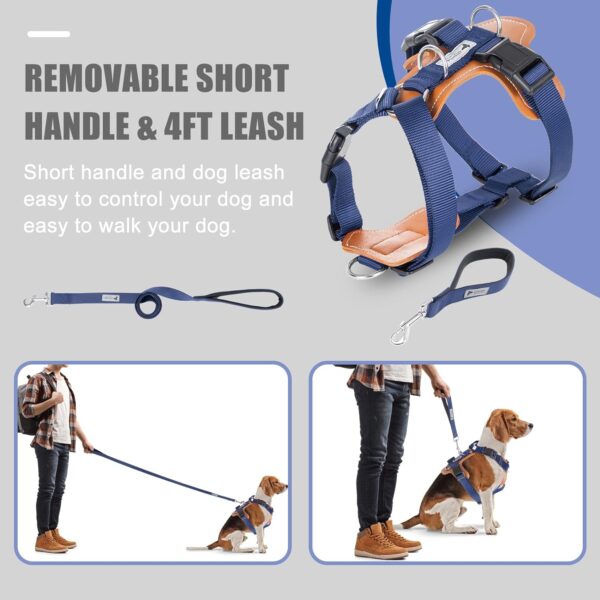 Elegant Dog Harness and Leash Set, Leather No Pull Dog Harness with Easy Control Removable Handle, Adjustable Pet Vest Harness for All Breeds, No-Choke Pet Oxford Vest for Small Medium Dog(DeepBlue,L) - Image 5