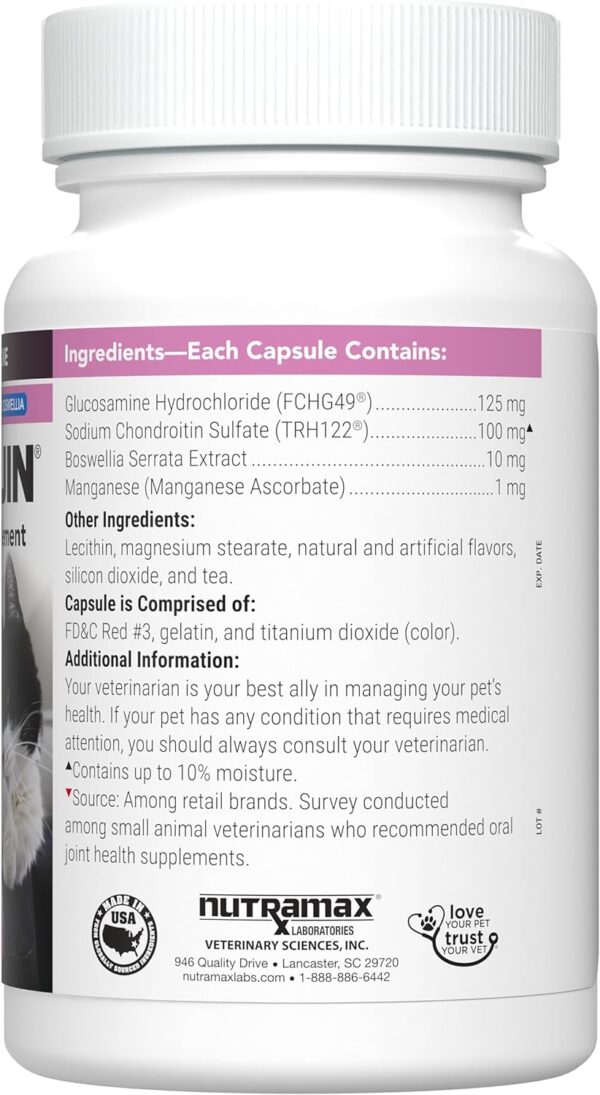 Nutramax Laboratories Cosequin® for Cats Maximum Strength PLUS Boswellia Capsules - Professional Line,Beige,60 Count (Pack of 1) - Image 4