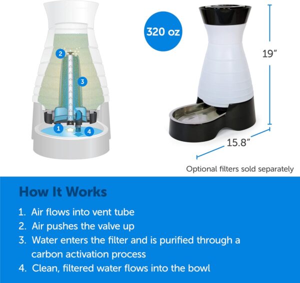 PetSafe Healthy Pet Water Station- Large, 320 oz Capacity- Gravity Cat & Dog Waterer- Removable Stainless Steel Bowl Resists Corrosion & Stands Up to Frequent Use- Easy to Fill- Filter Compatible - Image 3