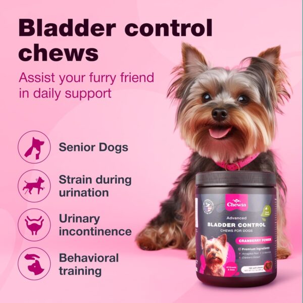 Dog UTI Treatment - Dog Cranberry Supplement for Urinary Tract, Bladder & Kidney Health, Incontinence Support - Bladder Control Cranberry Chews - Cranberry Supplement for Dog Incontinence - Image 2