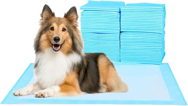 Super Absorbent Waterproof Dog and Puppy Pet Training Pad, Housebreaking Pet Pad, 50-Count Small-Size, 17.1’’X23.6’’, Blue