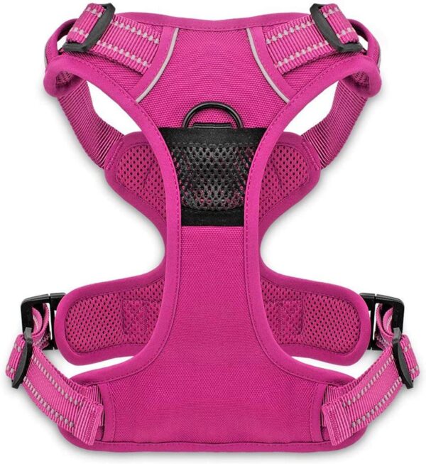 Voyager Dog Harness Dual Leash Attachment No-Pull Control Adjustable Soft But Strong Pet Harness For Medium And Large Dogs With 3M Reflective Technology - Fuchsia, S (Chest: 16 - 20") - Image 2