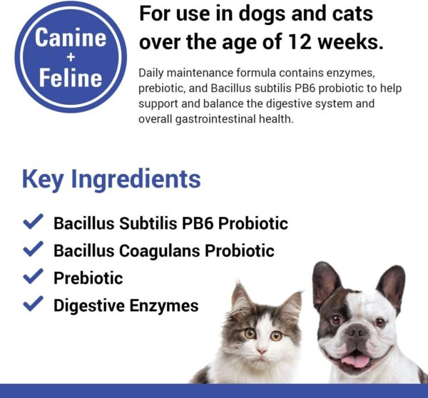 Vet Classics Protegrity EZ Probiotic Health Supplements for Dogs, Cats – Dog Digestive Support, Pet Gastrointestinal Health, Cat Stomach, Intestinal Balance – Pet Enzymes – 4 Oz. Powder - Image 5