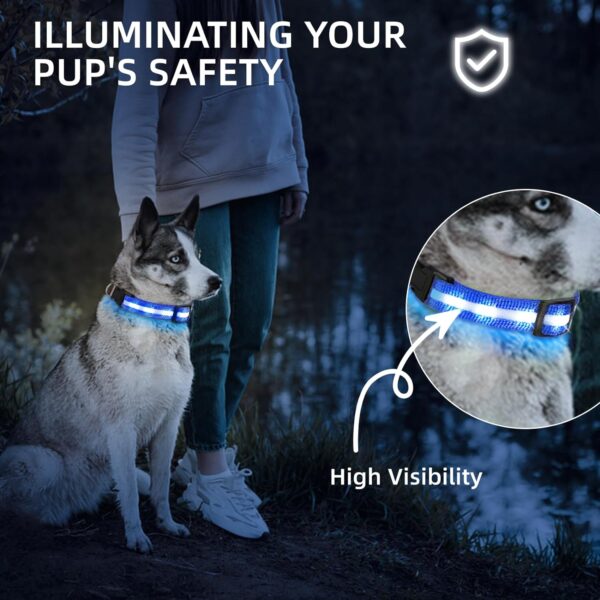 PetIsay Light up Dog Collar - High Visibility & Durable Nylon Material - USB C Rechargeable & Waterproof LED Dog Collar for Night Walking,Lighted Dog Collar Glow in The Dark Flashing(Blue,Medium) - Image 2