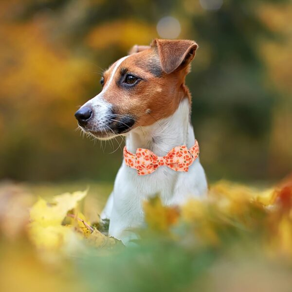 Fall Dog Bow Tie Collar Adjustable Thanksgiving Boy Girl Large Dog Cotton Collars Rose Gold Metal Buckle Orange College Football Printed L - Image 2