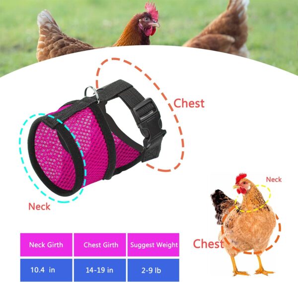 Chicken Harness and Leash, Modified Adjustable Breathable Harness Specially Designed for Rooster and Hens Duck Goose Training and Walking, Chicken Will Be Very Happy(2pcs) (Pink) M - Image 2