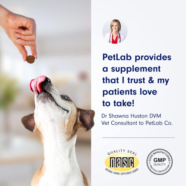 PetLab Co. Skin & Coat Chew - Optimize Scalp and Fur Condition with a Tasty Dog Chew, Packed with Beneficial Fatty Acids, Vitamins and Apple Cider Vinegar to Deliver Comfort and Support a Healthy Coat - Image 2