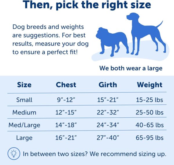 PetSafe Easy Walk Deluxe Dog Harness, No Pull Dog Harness – Perfect for Leash & Harness Training – Stops Pets from Pulling and Choking on Walks – Medium, Ocean - Image 5