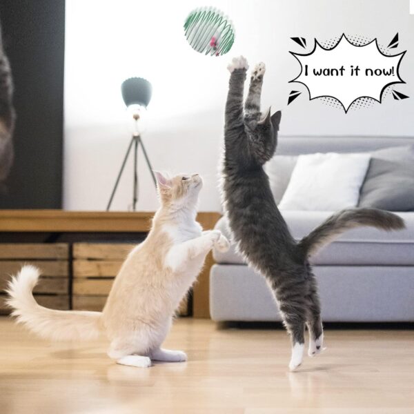 5 Pcs Cat Spring Balls Stretchable Cat Springs Toys Interactive Cat Toys Rolling Cat Balls Colorful Playful Coils Spring Action Toy Caged Rats for Kitten Cat Pet Supplies Indoor Play, Random Color - Image 6