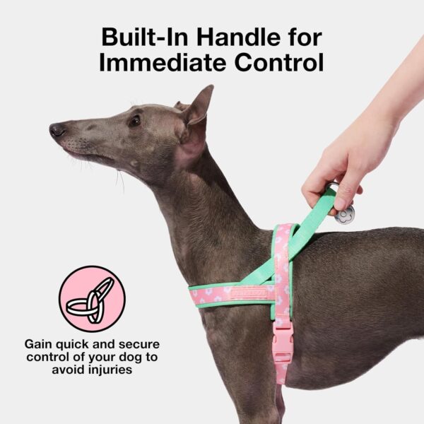 VETRESKA No Pull Dog Harness and Leash Set for Small Medium Large Dogs, Adjustable Soft Padded, Easy Control, Easy Walk and Anti-Twist Pet Lead Combo (Pink & Green,XS) - Image 5