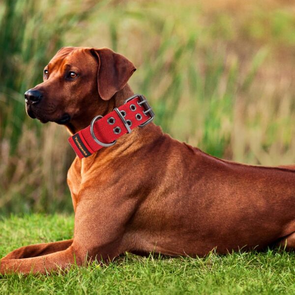 Tactical Dog Collar for Medium Large Dogs,Heavy Duty Metal Buckle Dog Collar,Soft Neoprene Padded Dog Collar,Nylon Wide Dog Collar(X-Large, Red) - Image 7