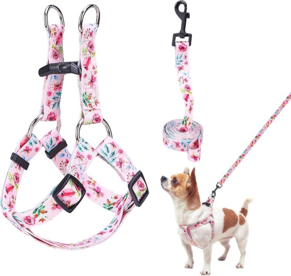 BEAUTYZOO No Pull Small Dog Harness and Leash Set, No Chock Puppy Step in Vest Harness Nylon Lightweight Neck&Chest Adjustable for Dogs Girls and Boy, Pet Harness for Small Medium Dogs