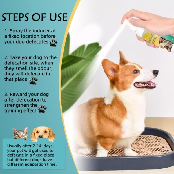 Dog Potty Training Spray,Potty Here Spray for Dogs for Indoors & Outdoor,Training Spray for Dogs to Pee in One Spot,Prevent Your Pet from Soiling The Carpet,120ML - Image 5