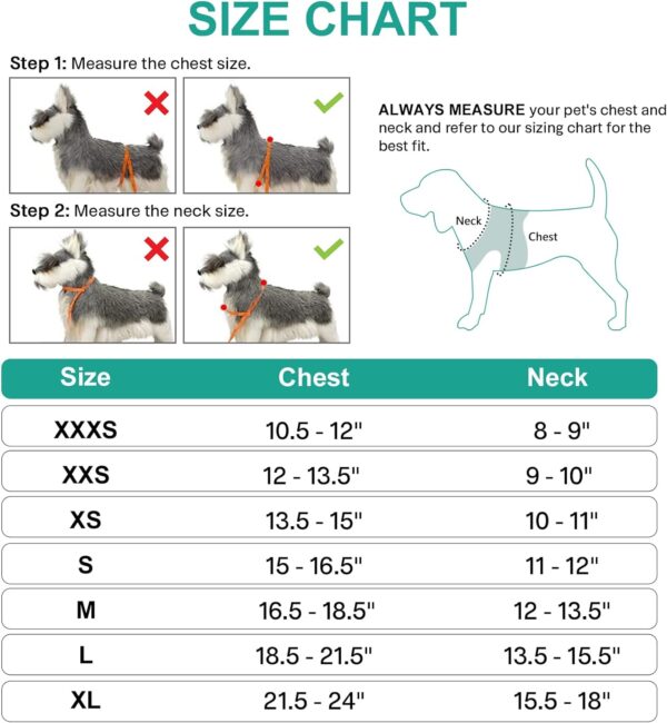 Joytale Small Dog Harness, Breathable Mesh Step-in Vest Harness, Reflective Soft Padded Harnesses Small Sized Dog for Walking, Teal, S - Image 3