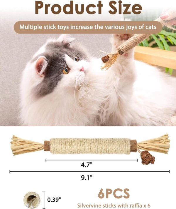 Tocirelo Silvervine Sticks Cat Toys - 6 Pack Natural Cat Chew Stick Toy for Cat Dental Care Teeth Cleaning, Matatabi Cat Nip Treat Toys for Indoor Cats Kittens - Image 6