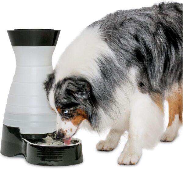 PetSafe Healthy Pet Water Station- Large, 320 oz Capacity- Gravity Cat & Dog Waterer- Removable Stainless Steel Bowl Resists Corrosion & Stands Up to Frequent Use- Easy to Fill- Filter Compatible