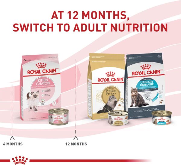 Royal Canin Feline Health Nutrition Dry Kitten Food, Supports Digestive Health, Immune Support and Healthy Energy, 3 lb Bag - Image 6