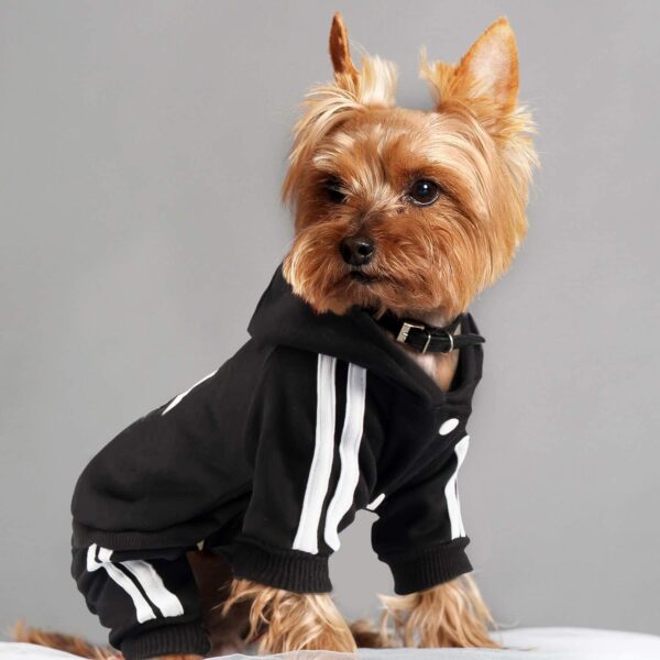 Weowin Pet Outfit - Cute Dog Hoodie Tracksuit Sweater Winter Clothes Pajamas Jumpsuit 4-Legs Black for Puppy Small Medium Large Dogs Girl or Boy (Large) - Image 6