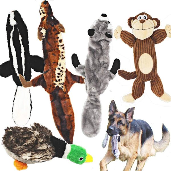 Jalousie 5 Pack Dog Squeaky Toys Three no Stuffing Toy and Two Plush with Stuffing for Small Medium Large Dog Pets (5 Pack)